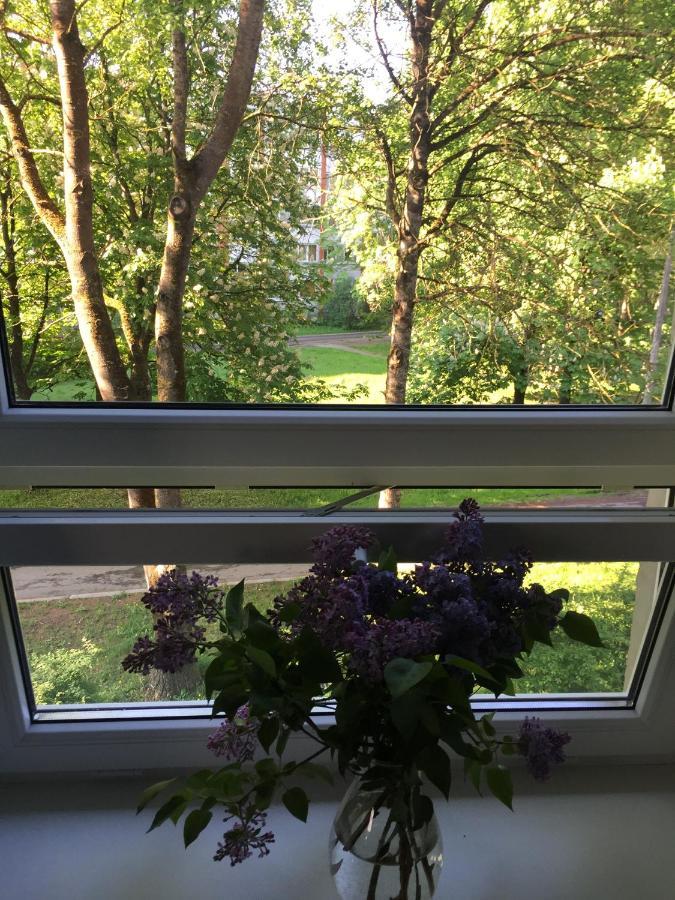 Jd&Jd Engures Apartment Jūrkalne Екстериор снимка